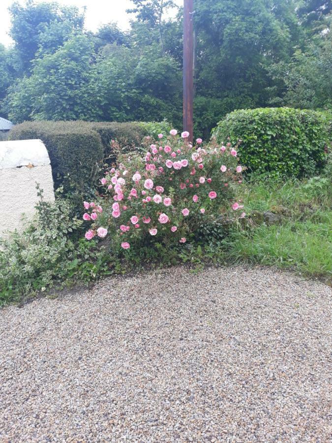 Katie'S Cottage Cashel  Esterno foto